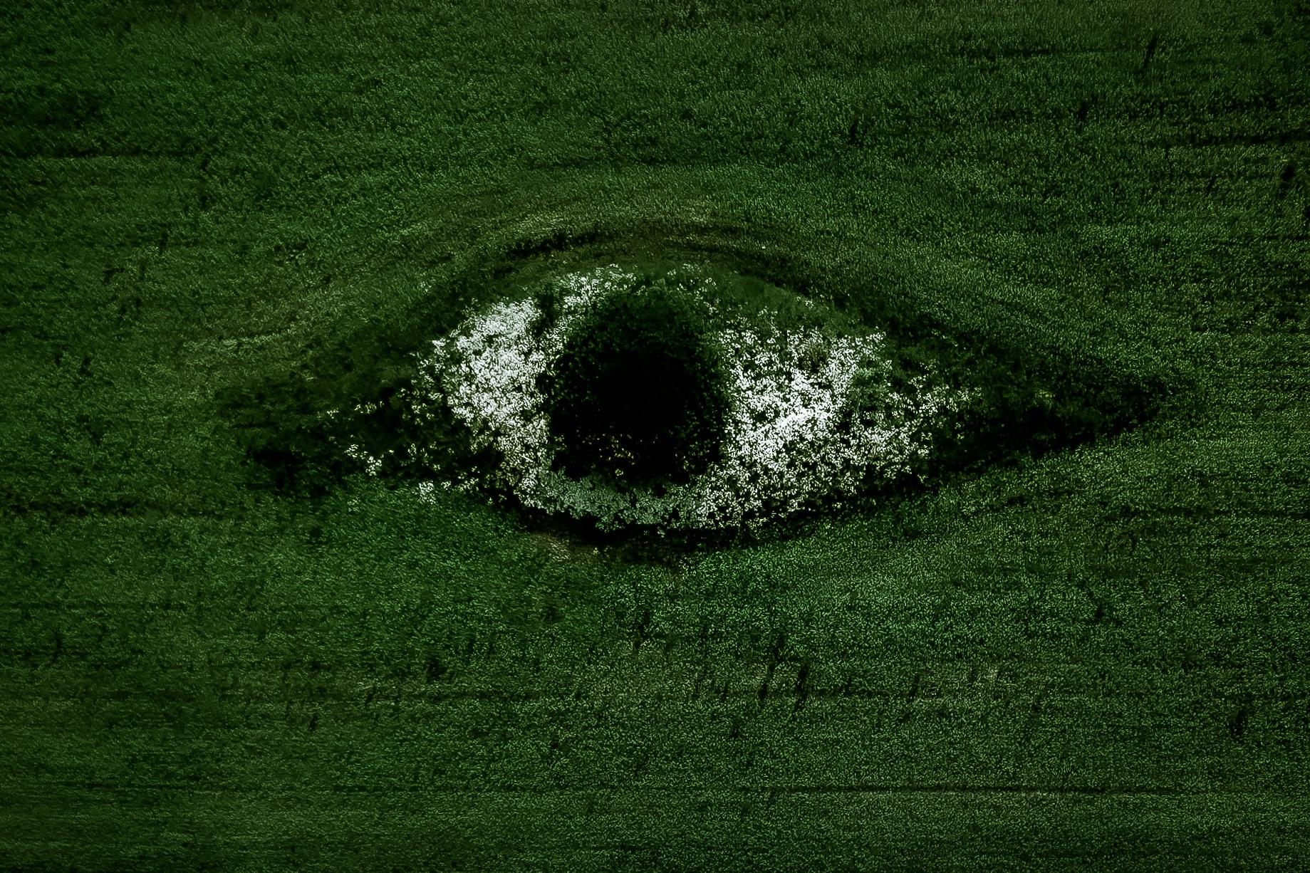 聚苯乙烯废弃物回收：从污染到循环解决方案，EPS压实机